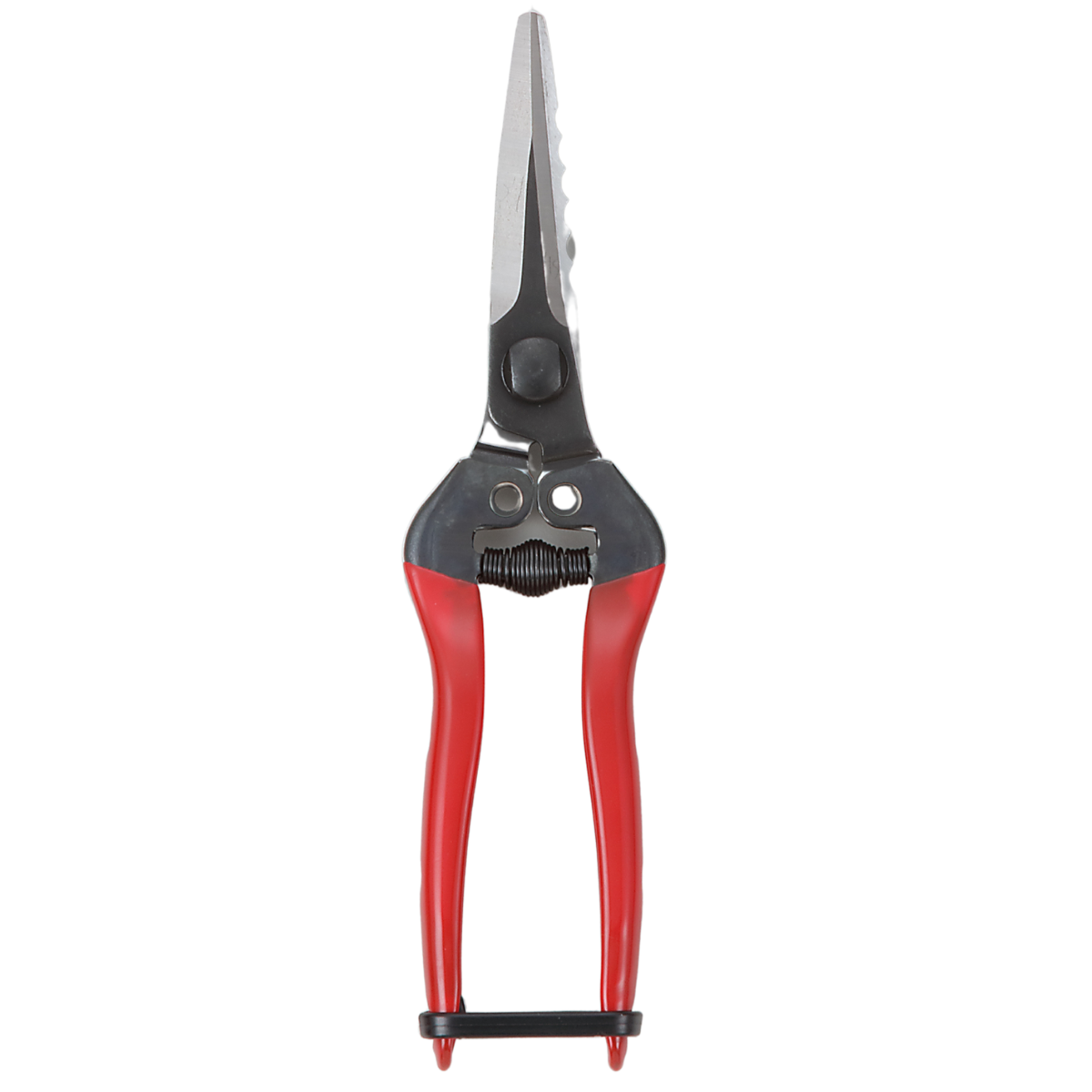 K1603H Garden Shears - Chung Cheng Scissors